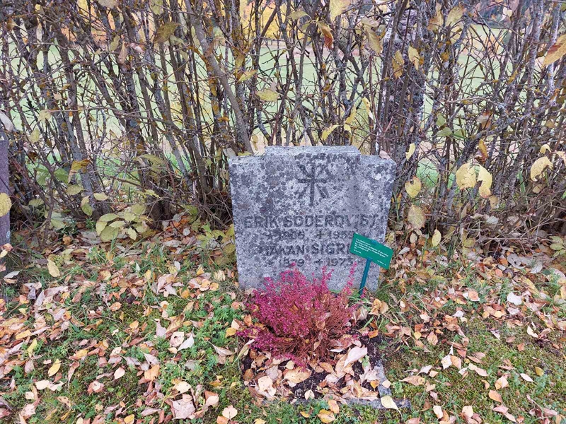 Hautatunnus: NY H 272