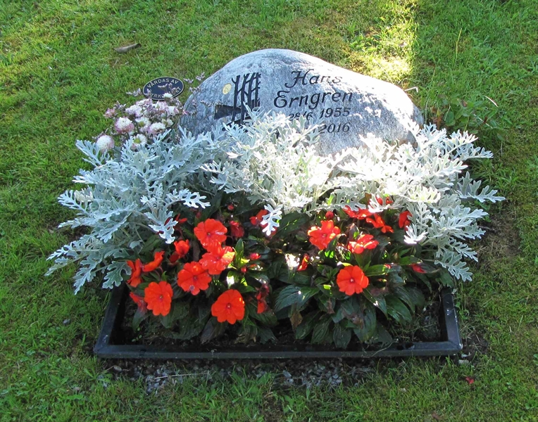 Grave number: HG MÅSEN   547