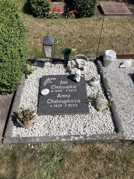 Grave number: NK XX:u   146