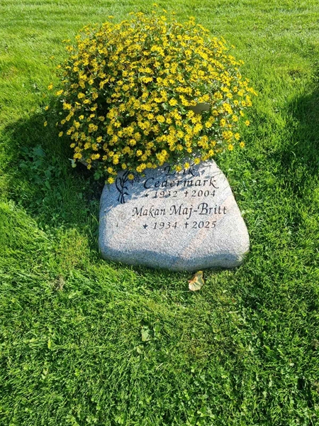 Gravnummer: 1 01  462