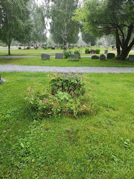 Hautatunnus: NK 14    44