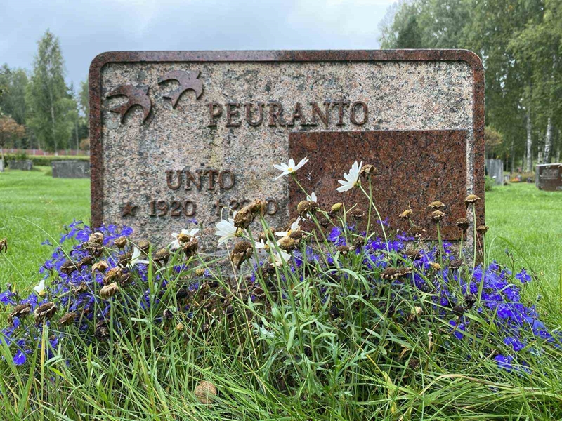 Grave number: 1 19     41, 42