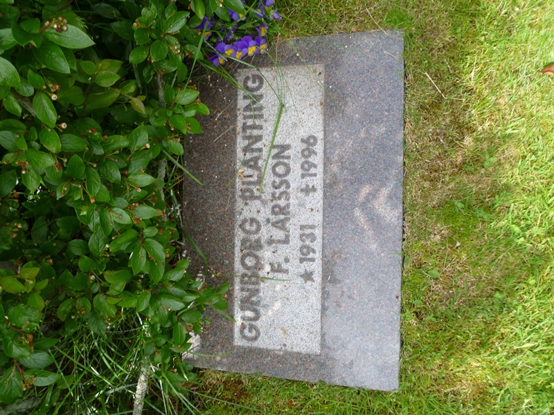 Grave number: ROG C  113, 114