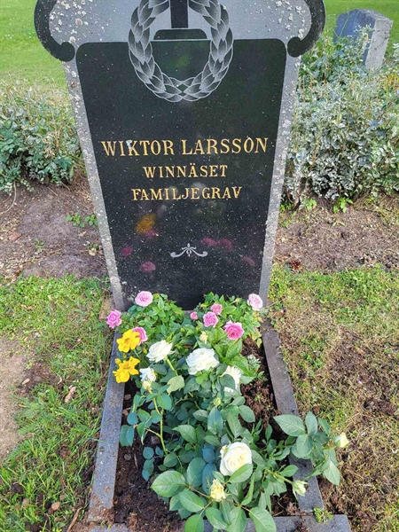 Grave number: 001 1    31