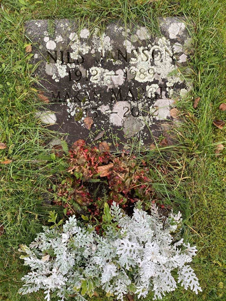 Grave number: 1 24    117