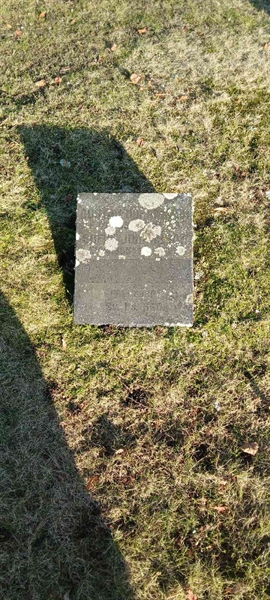 Hautatunnus: 3 Nya E   185-186