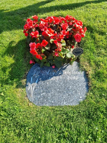 Gravnummer: 1 01  466