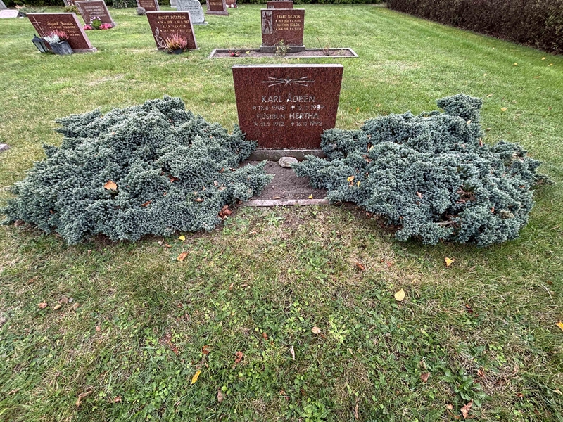 Grave number: VI G   468, 469