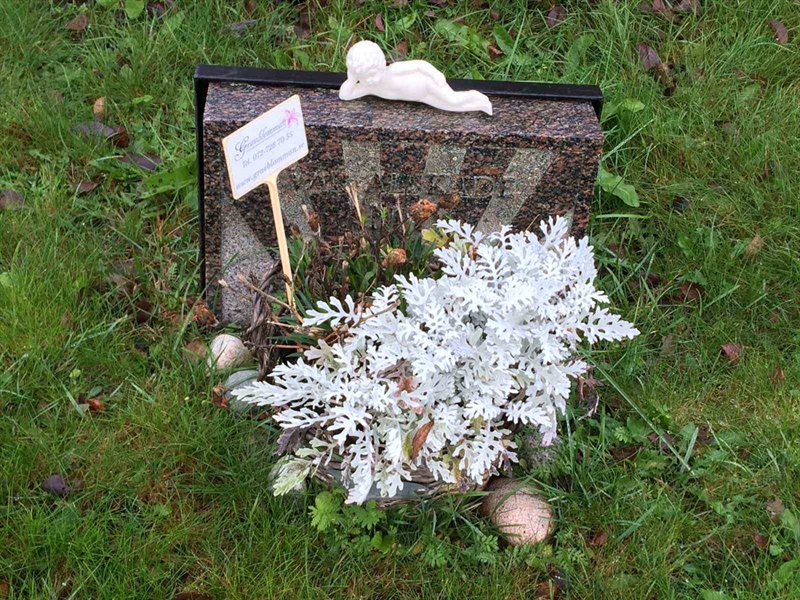 Grave number: 3 1577