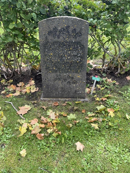 Grave number: 1 2 D    58