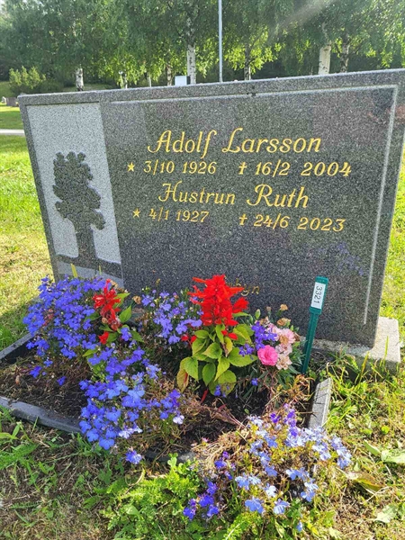Grave number: 001 4  3321