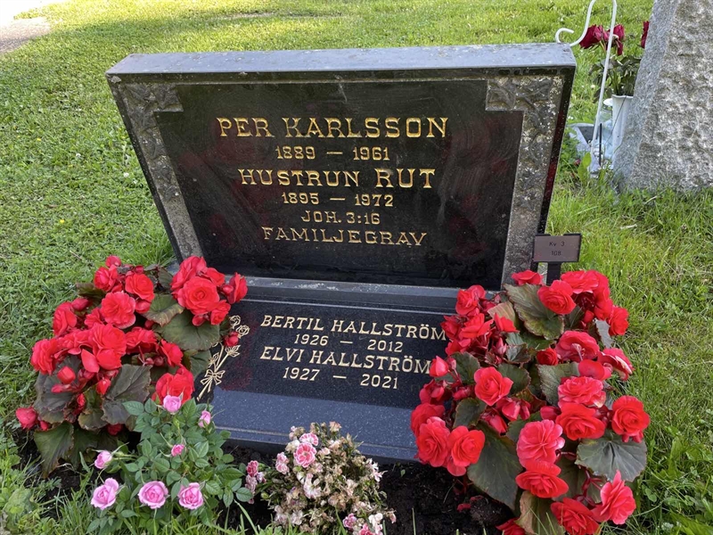 Hautatunnus: R 3 108