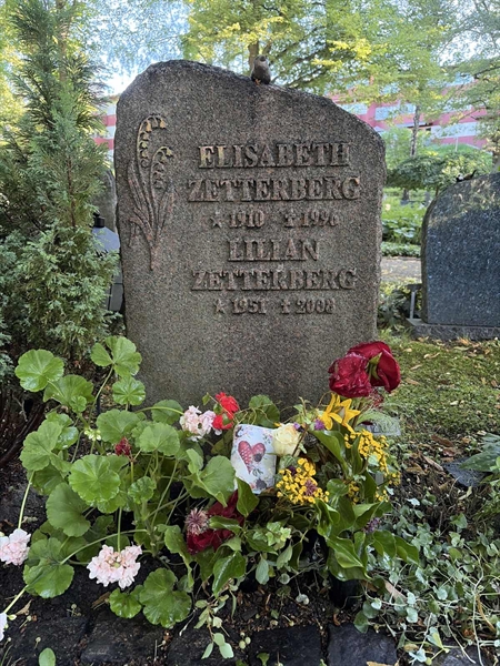Hautatunnus: 1 I   202