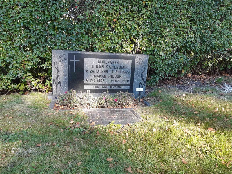 Grave number: Fr 7    37-38