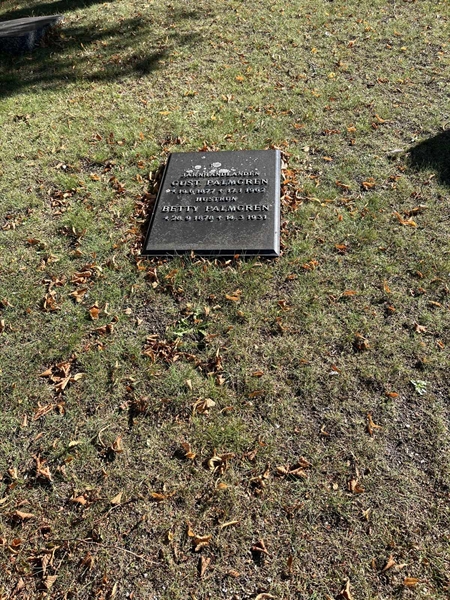 Grave number: VK II    81