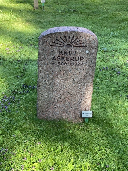Hautatunnus: 2 C   880