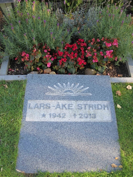 Grave number: HÖB 52    32