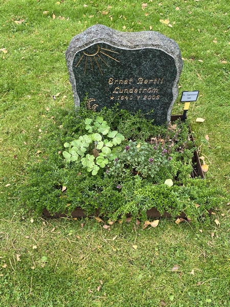 Gravnummer: 2 C   580