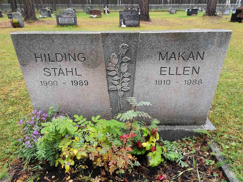 Grave number: VLM 15    41-42