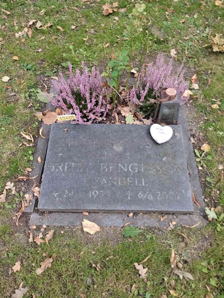 Grave number: Ö 45   401