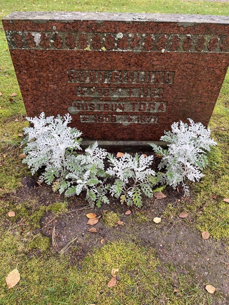 Grave number: 3 12  1633
