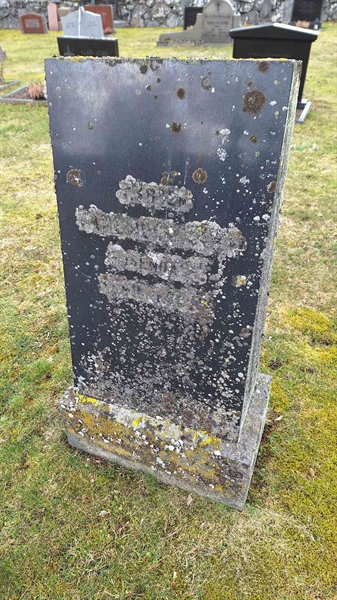 Hautatunnus: VG B   101