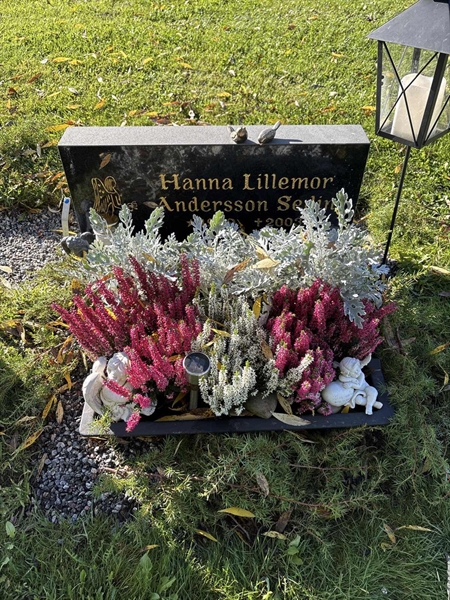 Grave number: 4 N NC   105