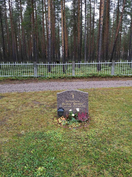 Hautatunnus: VLM 14   119-120