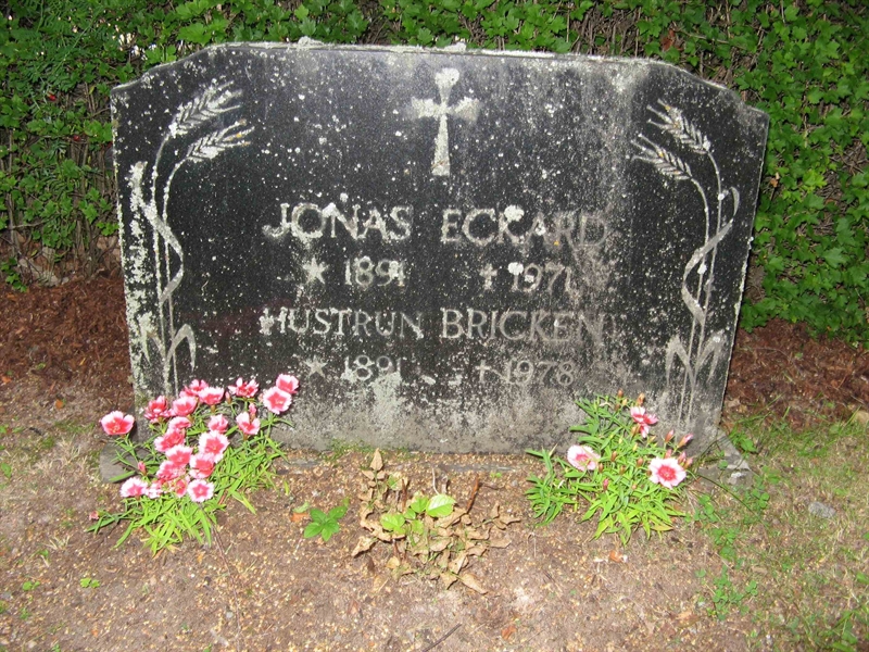 Grave number: A N  222, 223