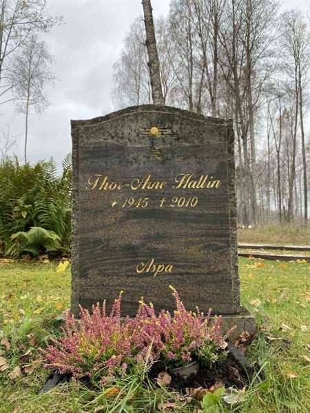 Grave number: 1 28     15