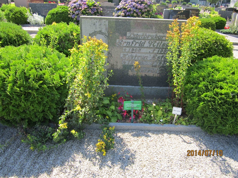 Grave number: 8 M   111, 112