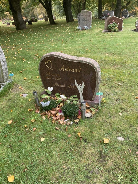 Grave number: 1 3 L1    36