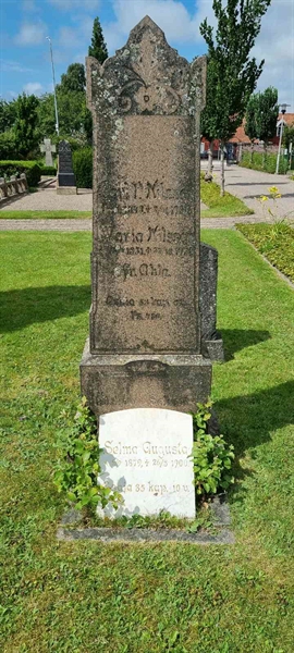 Grave number: LM 1 12  019