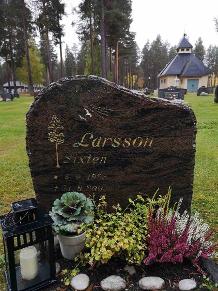 Hautatunnus: VLM 13    80-81