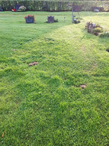 Gravnummer: NK A A   353