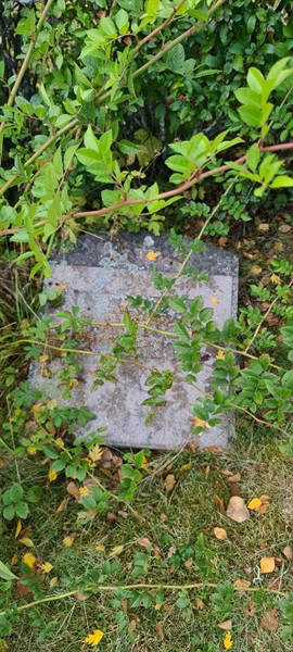 Grave number: M F  105