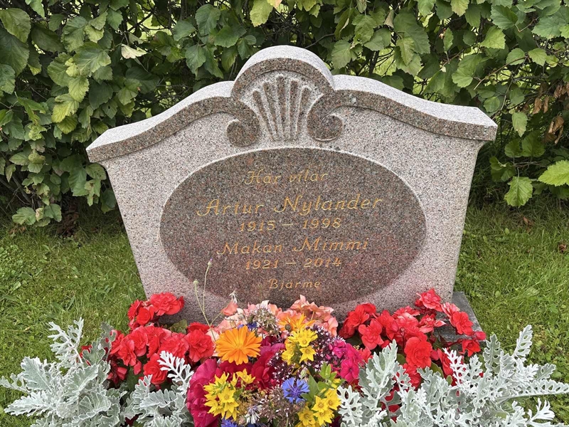 Hautatunnus: SÄ NYA   527-528