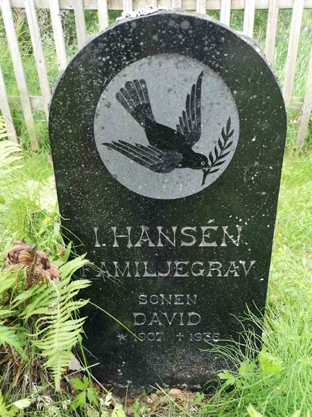 Hautatunnus: SK C    17