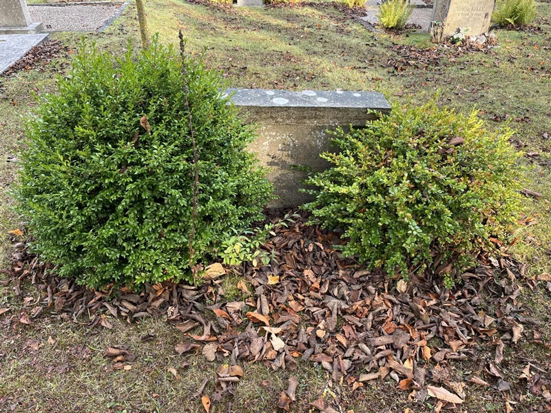 Grave number: Ö 19    25.A-B