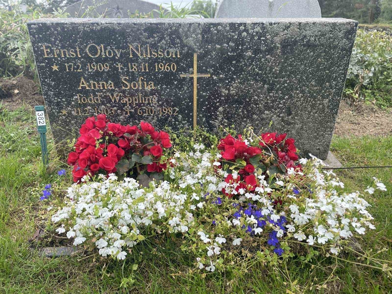 Grave number: 001 1   382