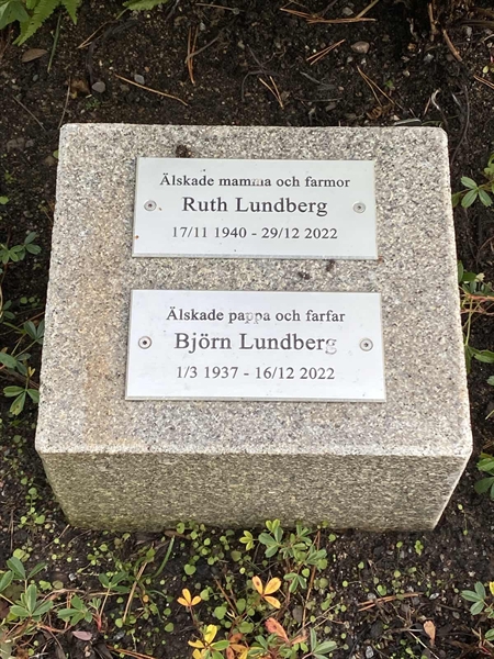 Gravnummer: 2 B     1