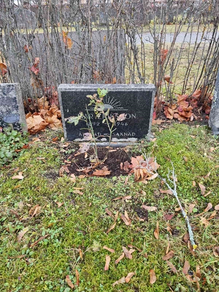 Grave number: 1 20  284