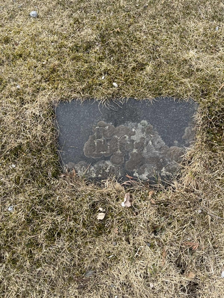 Grave number: 3 03     0G31210