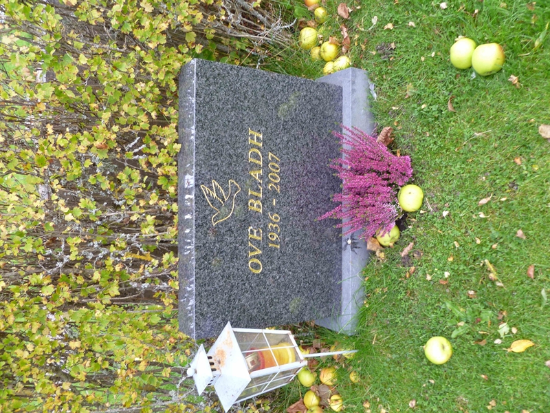 Grave number: ROG B  229, 230