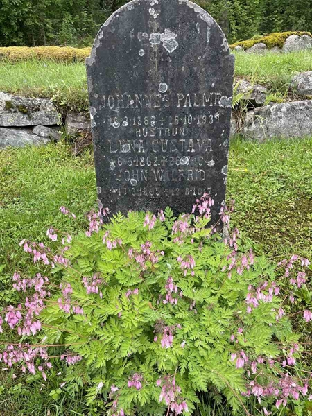 Hautatunnus: N 4 4   686