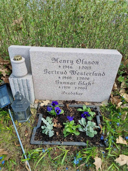 Grave number: D G 3   422