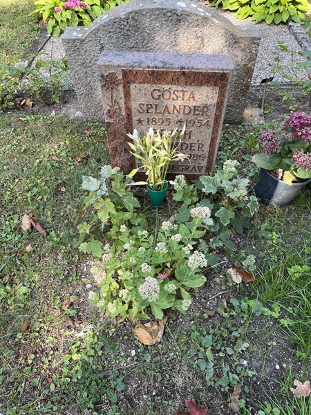 Grave number: Ö 07    36.A-B