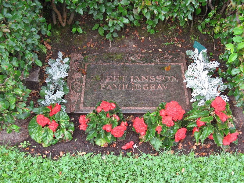 Grave number: BOL Ö   795A