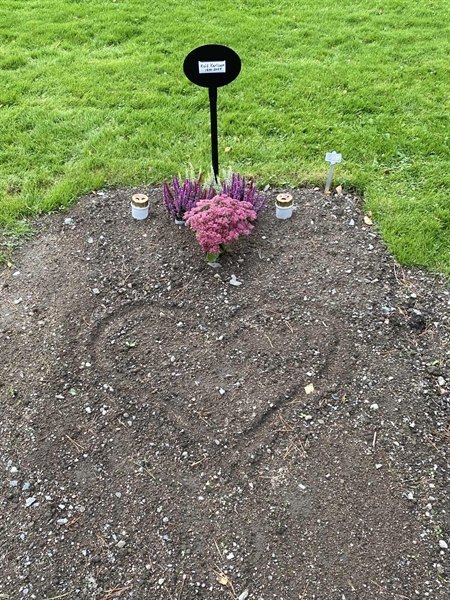 Gravnummer: 2 C   538