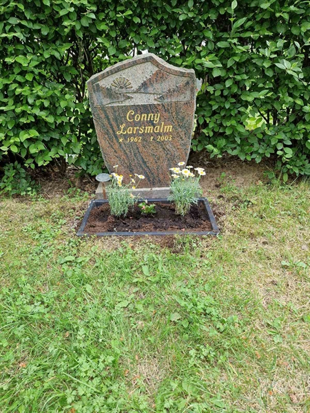Grave number: 1 KV.9    98-99